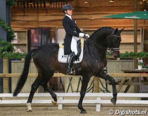 Marlies van Baalen and Painted Brown at the 2014 CDI Roosendaal Indoor :: Photo © Digishots