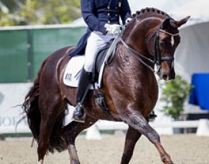 Jan Ebeling and Rassolini at the 2014 CDI-W San Juan Capistrano :: Photo © Terri Miller
