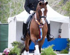 Brian Hafner and Lombardo win the GP Kur at the 2014 CDI-W San Juan Capistrano :: Photo © Terri Miller