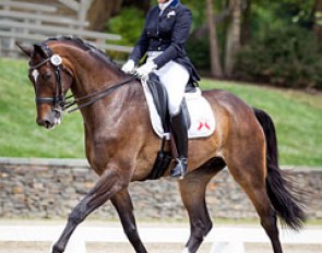 Eliane Cordia-van Reesema and Jewel's Amethyst at the 2014 CDI Saugerties :: Photo © Terri Miller