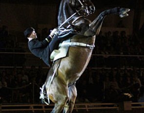 Mounted courbette