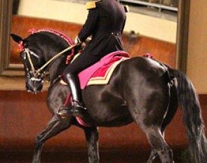 Colonel Jean-Michel Faure symbolically leaves the Cadre Noir at the end of the gala