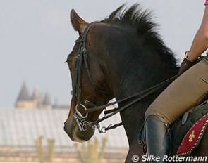 French Equitation in its capital Saumur :: Photo © Silke Rottermann