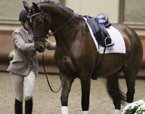 Dressage Olympian Catherine Henriquet showed the traditional work in-hand with her Holsteiner mare Carola at the "Premières Recontres de l'Equitation de Tradition Française" seminar in Saumur :: Photo © Silke Rottermann