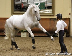 Magda Pommier and Tutcho