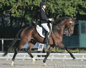 Amandine Prevost and Quaterdance at the 2014 French Young Horse Championships in Saumur :: Photo © Les Garennes