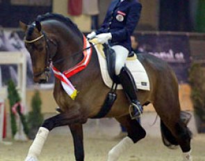 Stephanie Dearing on Divine Etincelle at the 2014 Austrian Warmblood licensing :: Photo © Pferdefotos MATT