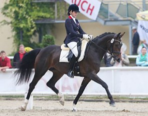 Stephanie Dearing and Feine Lady at the 2014 Austrian Young Horse Championships :: Photo © Stefan Seiberl