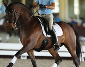 U.S. team trainer Robert Dover riding Shelly Francis' Doktor (by Diamond Hit)
