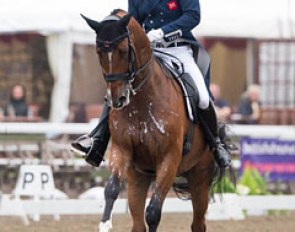 Spencer Wilton and Alfons win the Inter I at the 2014 British Dressage Championships :: Photo © Astrid Appels