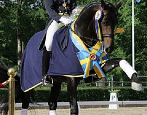 Marina Mattsson and Double Diamond win the 2014 Swedish Young Riders' Championships :: Photo © Catharina Brink