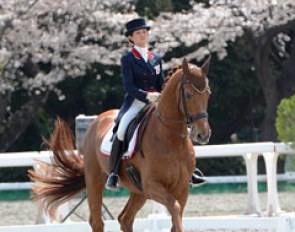 Yuko Kitai and Golden Coin with cherry trees in bloom at the 2014 CDI Tokyo :: Photo © Japan Equestrian Federation