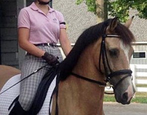 Jessica Fan on her FEI Dressage Pony Madoc Prince Phillip, a Welsh Cob by Kentchurch Chime x Derwin Telynor.
