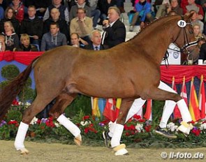 Vitalis x Diamond Hit