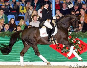 Kristina Sprehe and Donnerball at the 2014 Sprehe Stallion Show in Vechta :: Photo © LL-foto