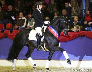Frederic Wandres and Grey Flanell at the 2014 Oldenburg Stallion Licensing :: Photo © LL-foto