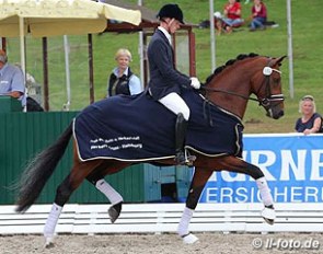 Eike Bewerungen and Nymphenburg's First Ampere win the 3-year old stallion class at the 2014 Hanoverian Young Horse Championships :: Photo © LL-foto