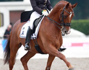 Carole Koppelmann on Deveraux B (by Dimension) at the 2014 CDI Verden :: Photo © Astrid Appels