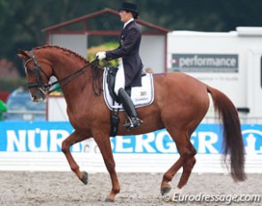 The Grand Prix revelation of Verden: Carola Koppelmann on Deveraux B (by Dimension x Rivellino xx). What a piaffe and passage this horse has!!