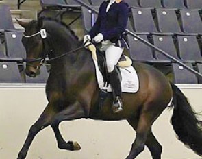 Therese Nilshagen on the 2012 Oldenburg Licensing Champion Follow Me (by Furstenball x Donnerschwee) :: Photo © Christina Beuke