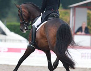 Steffen Peters on Legolas