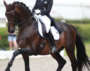Dorothee Schneider on Silvano
