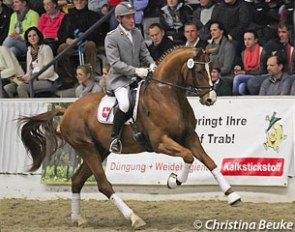 Celle state stud rider Wolfhard Witte on Donatus (by Don Frederico x Weltruhm) in Verden :: Photo © Christina Beuke