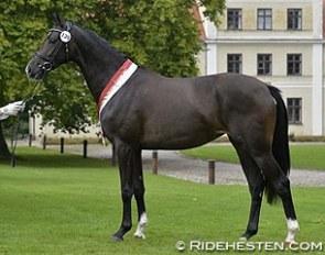 Vestervangs Delicious :: Photo © Ridehesten