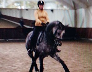 Alexandra Barbançon schooling Silvermoons Mariechen at home in Denmark 