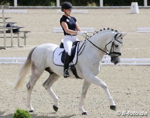 Ines Knoll and Fairplay H at the 2014 German WCYH Selection Trial in Warendorf :: Photo © LL-foto