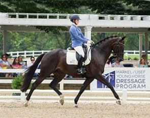 Kelly Casey and Emilion SA at the 2014 U.S. Young Horse Championships :: Photo © Carolynn Bunch 