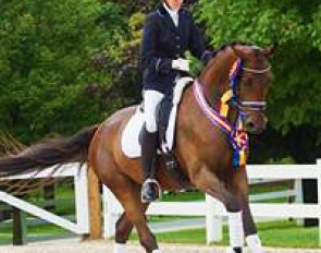 Carly Taylor-Smith and Rosalut NHF Win the 4-year old division at the 2014 U.S. Young Horse Championships :: Photo © Carolynn Bunch