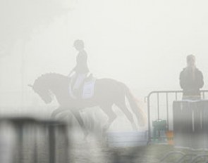 Morning mist in Verden