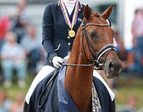 Kirsten Brouwer and Dancer win gold in the 6-year old division at the 2014 World Young Horse Championships :: Photo © Astrid Appels