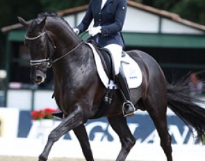 Gerdine Maree and Dream Boy at the 2014 World Young Horse Championships in Verden :: Photo © Astrid Appels