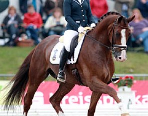 Yvonne Osterholm and Quarton at the 2014 World Young Horse Championships :: Photo © Astrid Appels