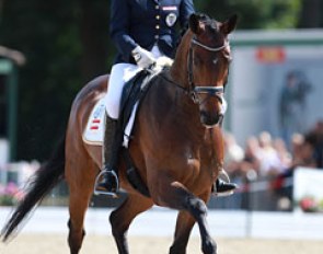 Austrian Ulrike Prunthaller on the very talented mover Quarz (by Quaterback x Rubinstein Noir). The bay gelding was tense and all over the place in the arena. It was just not their day.