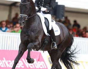 Emmelie Scholtens on the beautiful KWPN stallion Desperado. Two flying changes were totally broken today and it made them drop to a 14th place