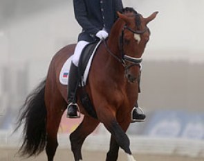 Russian Evgeny Sharangovich on Sir Florett (by Spielberg x Florestan). The bay is not the most gifted mover but the Russian presented his horse beautifully
