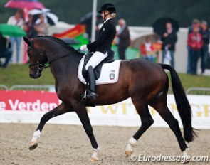 Jessica von Bredow-Werndl bending her 5-year old Ferdinand BB on the serpentine line at the 2014 World Young Horse Championships :: Photo © Astrid Appels