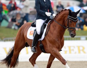 Stefanie Wolf on Elton John (by Jazz x Fidermark). Lovely, talented chestnut stallion but he could take more weight on the hindquarters and push a bit more from behind