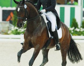 Janette Bouman and V Power at the 2014 World Equestrian Games :: Photo © Astrid Appels
