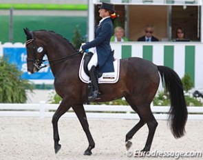 Claudia Fassaert and Donnerfee at the 2014 World Equestrian Games :: Photo © Astrid Appels