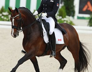 Megan Lane and Caravella at the 2014 World Equestrian Games :: Photo © Astrid Appels