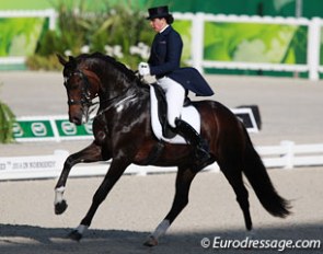 Inessa Merkulova and Mister X at the 2014 World Equestrian Games :: Photo © Astrid Appels
