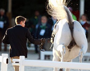 Bucking broncos instead of dressage horses