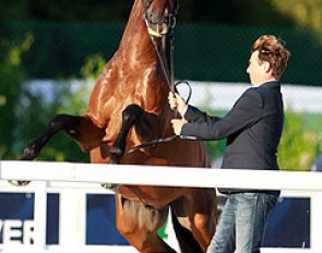 Arnaud Serre's Robinson de la Font showed some spirit too