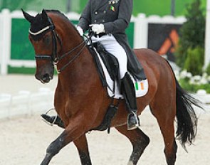 Roland Tong and Pompidou at the 2014 World Equestrian Games :: Photo © Astrid Appels