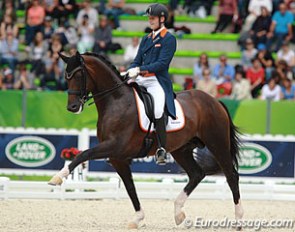Diederik van Silfhout and Arlando in the Grand Prix Special at the 2014 World Equestrian Games :: Photo © Astrid Appels