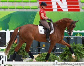 Isabell Werth schooling Bella Rose at the 2014 World Equestrian Games the day before the Grand Prix started :: Photo © Astrid Appels